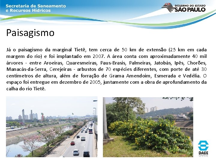 Paisagismo Já o paisagismo da marginal Tietê, tem cerca de 50 km de extensão Paisagismo Já o paisagismo da marginal Tietê, tem cerca de 50 km de extensão