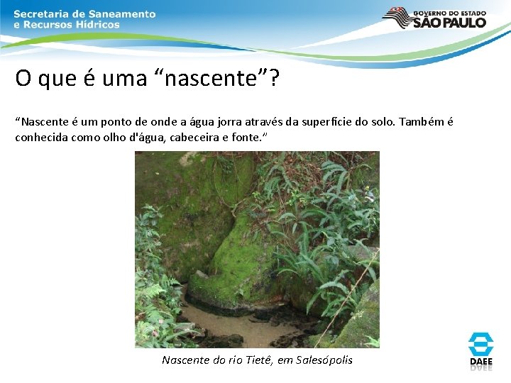 O que é uma “nascente”? “Nascente é um ponto de onde a água jorra O que é uma “nascente”? “Nascente é um ponto de onde a água jorra