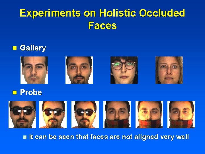 Experiments on Holistic Occluded Faces n Gallery n Probe n It can be seen