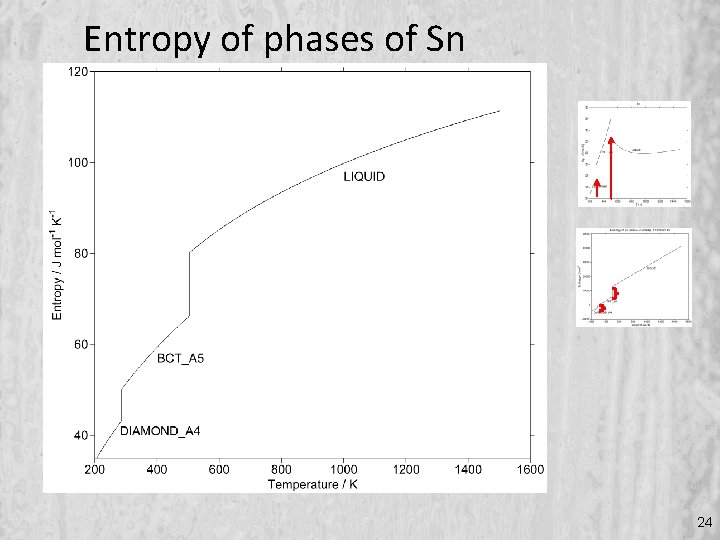Entropy of phases of Sn 24 