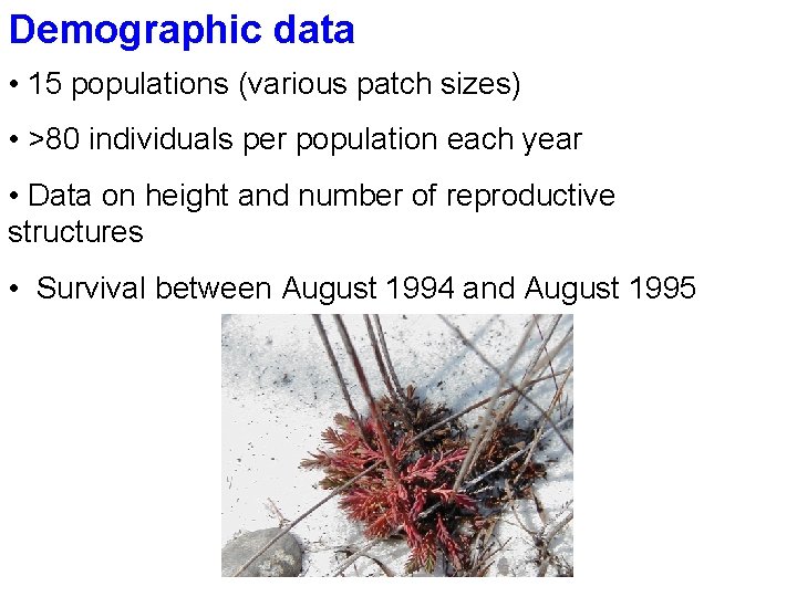 Demographic data • 15 populations (various patch sizes) • >80 individuals per population each
