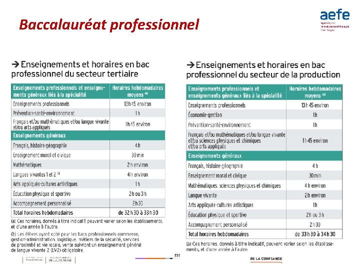 Baccalauréat professionnel Baccalauréat professionnel