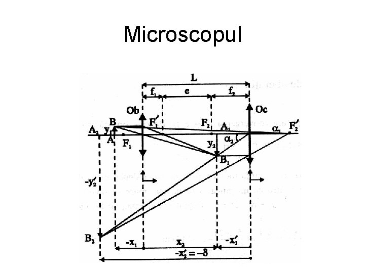Microscopul 