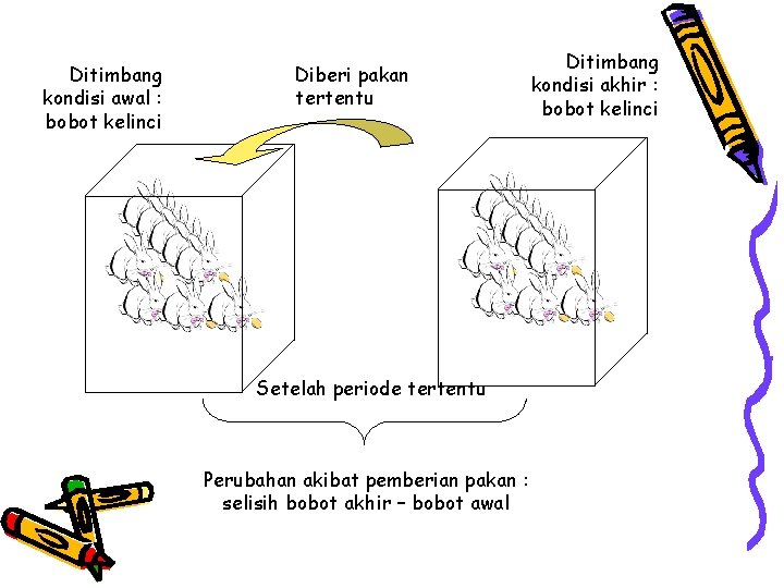 Ditimbang kondisi awal : bobot kelinci Diberi pakan tertentu Setelah periode tertentu Perubahan akibat