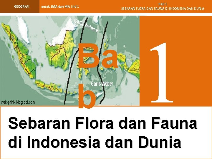 GEOGRAFI untuk SMA dan MA Jilid 1 Ba b BAB 1 SEBARAN FLORA DAN