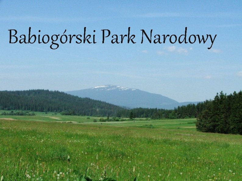 Babiogórski Park Narodowy 