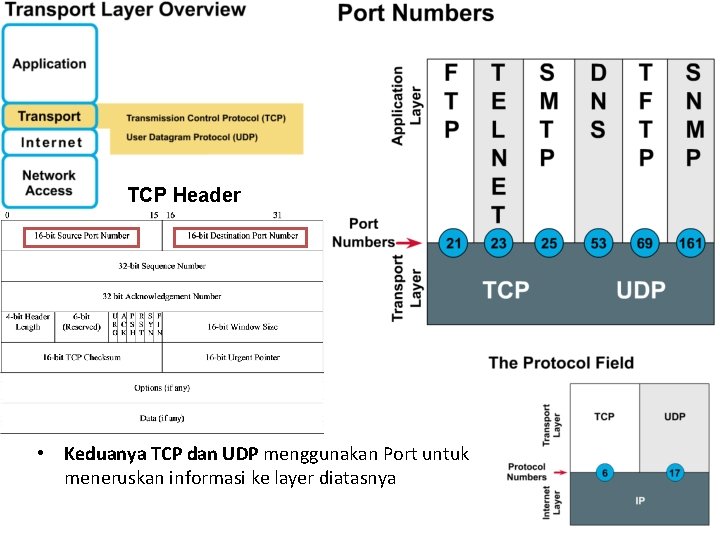 TCP Header • Keduanya TCP dan UDP menggunakan Port untuk meneruskan informasi ke layer