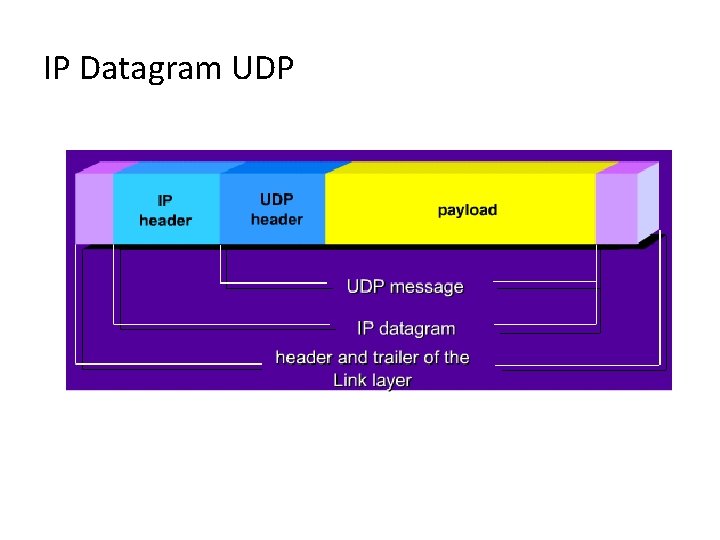 IP Datagram UDP 