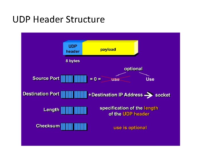 UDP Header Structure 