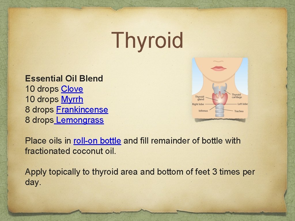 Thyroid Essential Oil Blend 10 drops Clove 10 drops Myrrh 8 drops Frankincense 8