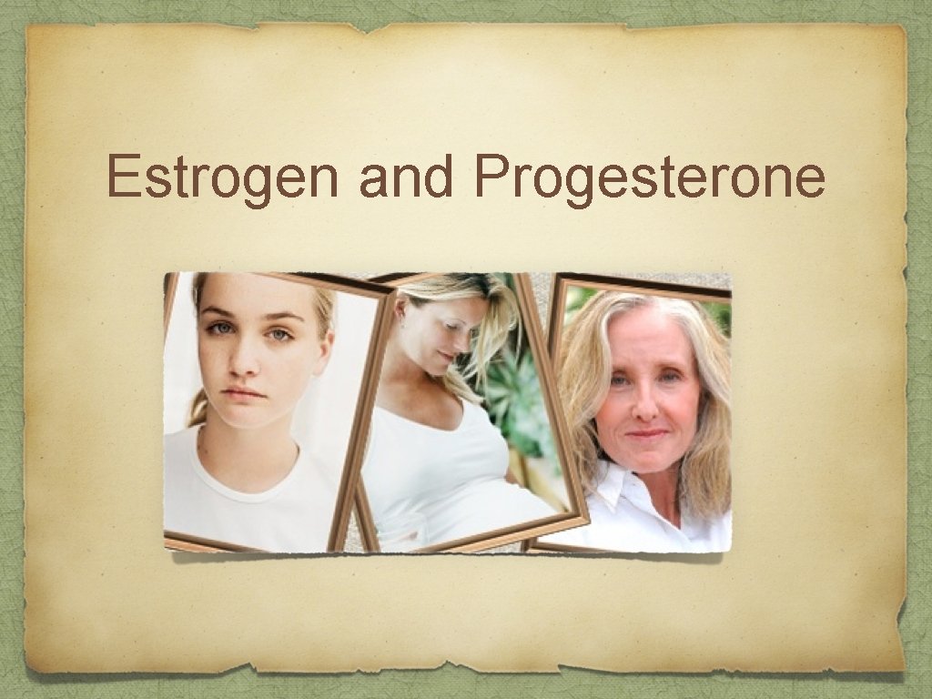 Estrogen and Progesterone 