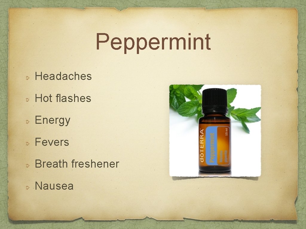 Peppermint Headaches Hot flashes Energy Fevers Breath freshener Nausea 