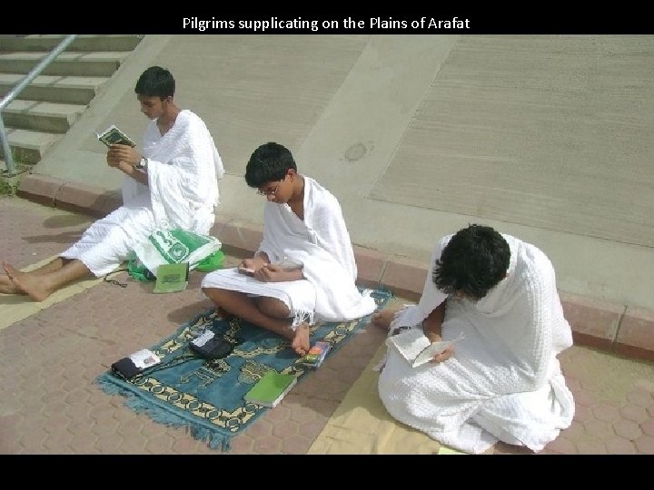 Pilgrims supplicating on the Plains of Arafat 