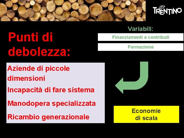 Punti di debolezza: Variabili: Finanziamenti e contributi Formazione Aziende di piccole dimensioni Incapacità di Punti di debolezza: Variabili: Finanziamenti e contributi Formazione Aziende di piccole dimensioni Incapacità di