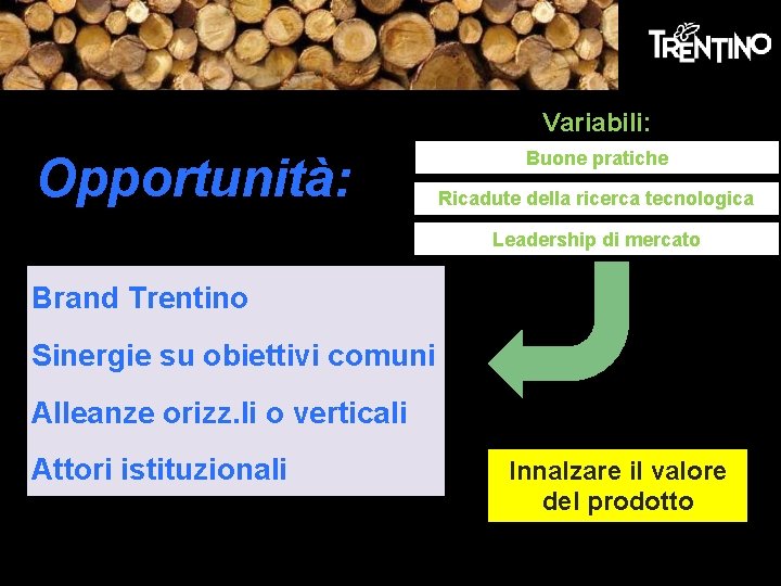 Variabili: Opportunità: Buone pratiche Ricadute della ricerca tecnologica Leadership di mercato Brand Trentino Sinergie Variabili: Opportunità: Buone pratiche Ricadute della ricerca tecnologica Leadership di mercato Brand Trentino Sinergie
