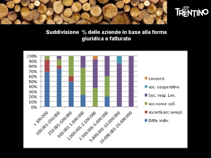 Suddivisione % delle aziende in base alla forma giuridica e fatturato Suddivisione % delle aziende in base alla forma giuridica e fatturato