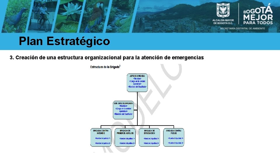 Plan Estratégico 3. Creación de una estructura organizacional para la atención de emergencias 