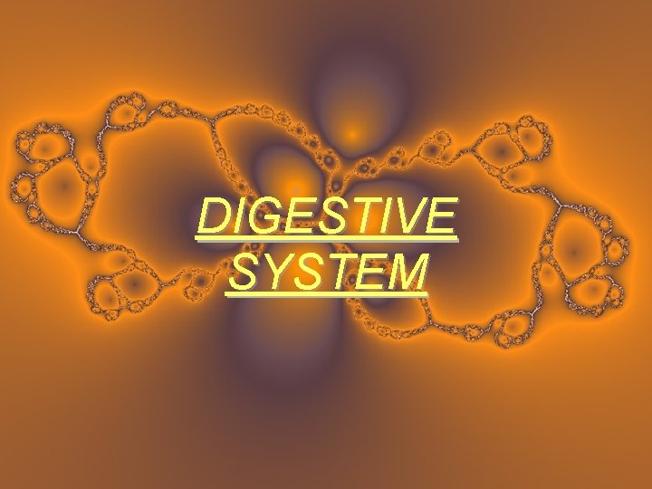 DIGESTIVE SYSTEM 