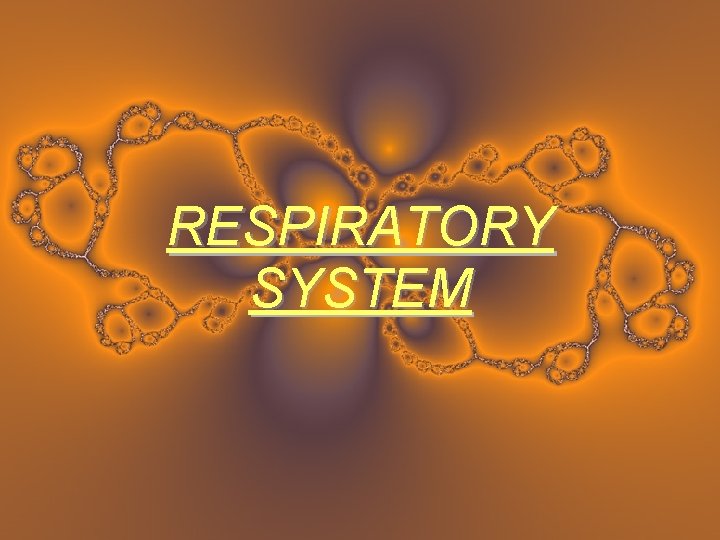 RESPIRATORY SYSTEM 