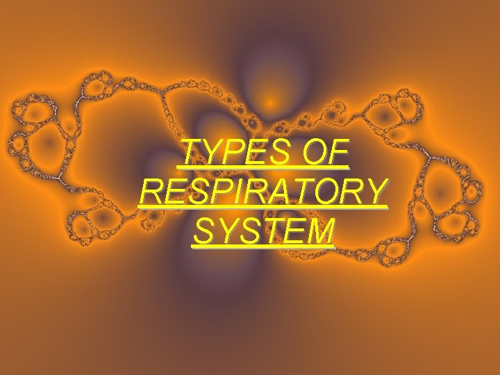 TYPES OF RESPIRATORY SYSTEM 