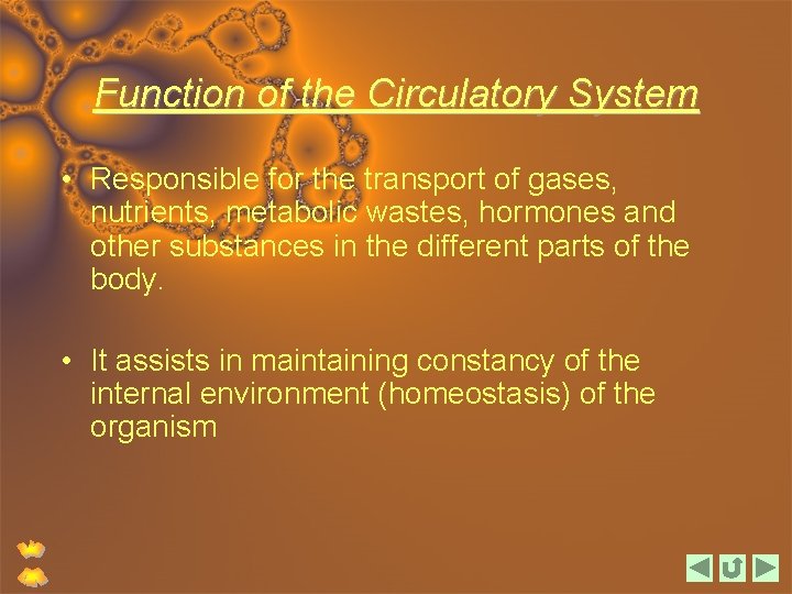 Function of the Circulatory System • Responsible for the transport of gases, nutrients, metabolic