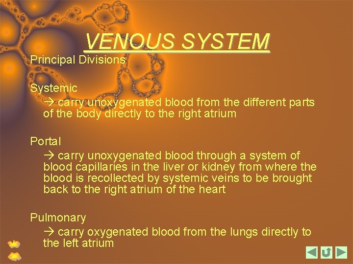 VENOUS SYSTEM Principal Divisions Systemic carry unoxygenated blood from the different parts of the