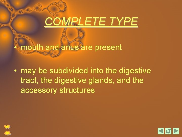 COMPLETE TYPE • mouth and anus are present • may be subdivided into the