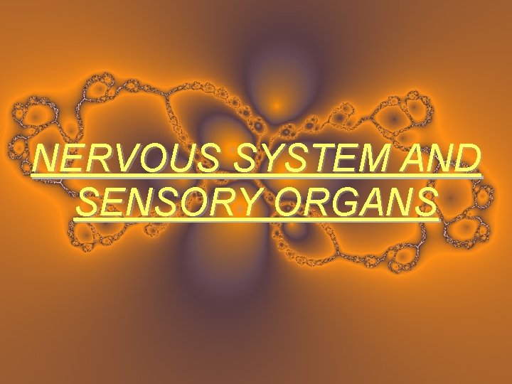 NERVOUS SYSTEM AND SENSORY ORGANS 