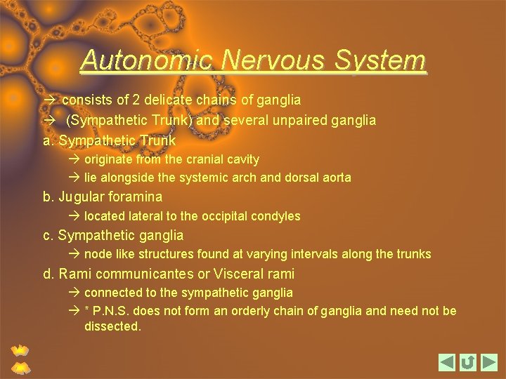 Autonomic Nervous System consists of 2 delicate chains of ganglia (Sympathetic Trunk) and several