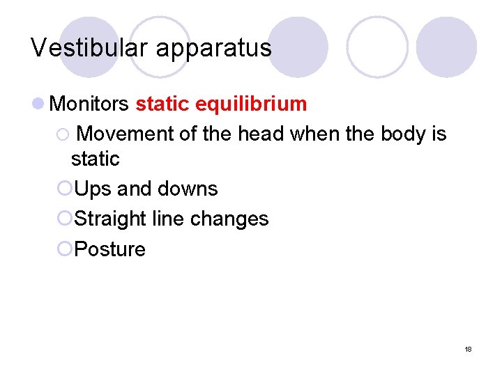 Vestibular apparatus l Monitors static equilibrium ¡ Movement of the head when the body