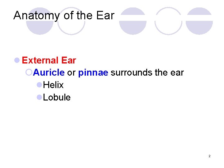 Anatomy of the Ear l External Ear ¡Auricle or pinnae surrounds the ear l.