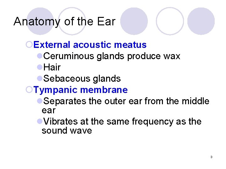 Anatomy of the Ear ¡External acoustic meatus l. Ceruminous glands produce wax l. Hair