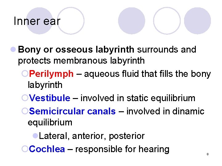 Inner ear l Bony or osseous labyrinth surrounds and protects membranous labyrinth ¡Perilymph –