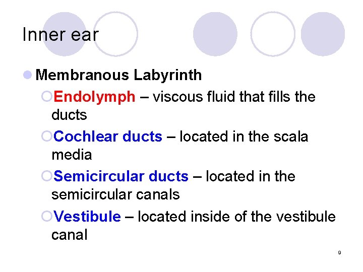 Inner ear l Membranous Labyrinth ¡Endolymph – viscous fluid that fills the ducts ¡Cochlear