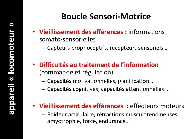  appareil « locomoteur » Boucle Sensori-Motrice • Vieillissement des afférences : informations somato-sensorielles