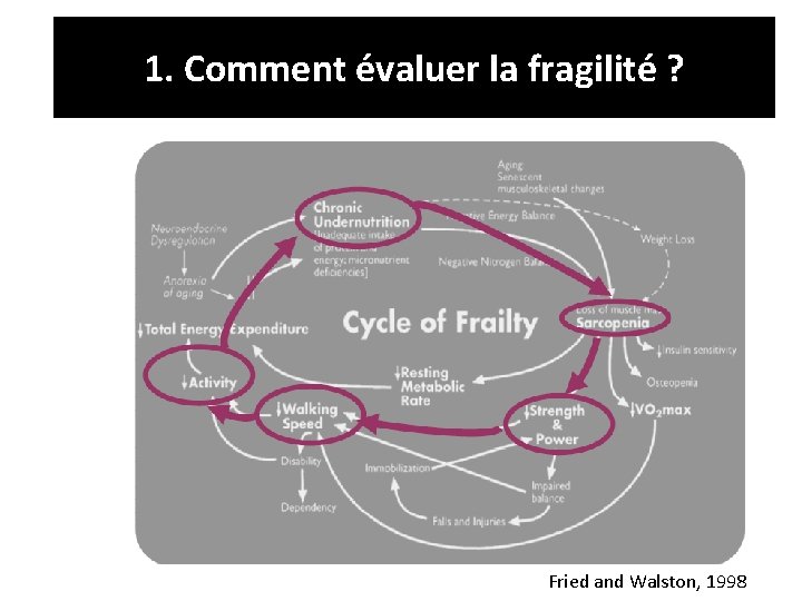 1. Comment évaluer la fragilité ? Fried and Walston, 1998 