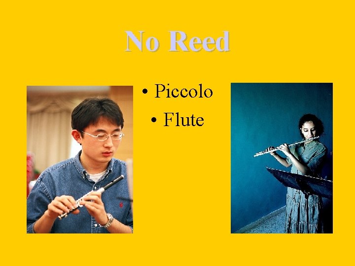 No Reed • Piccolo • Flute 