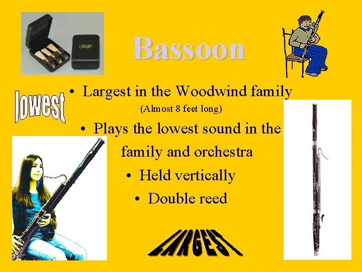 Bassoon • Largest in the Woodwind family (Almost 8 feet long) • Plays the