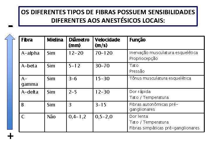 - + OS DIFERENTES TIPOS DE FIBRAS POSSUEM SENSIBILIDADES DIFERENTES AOS ANESTÉSICOS LOCAIS: Fibra