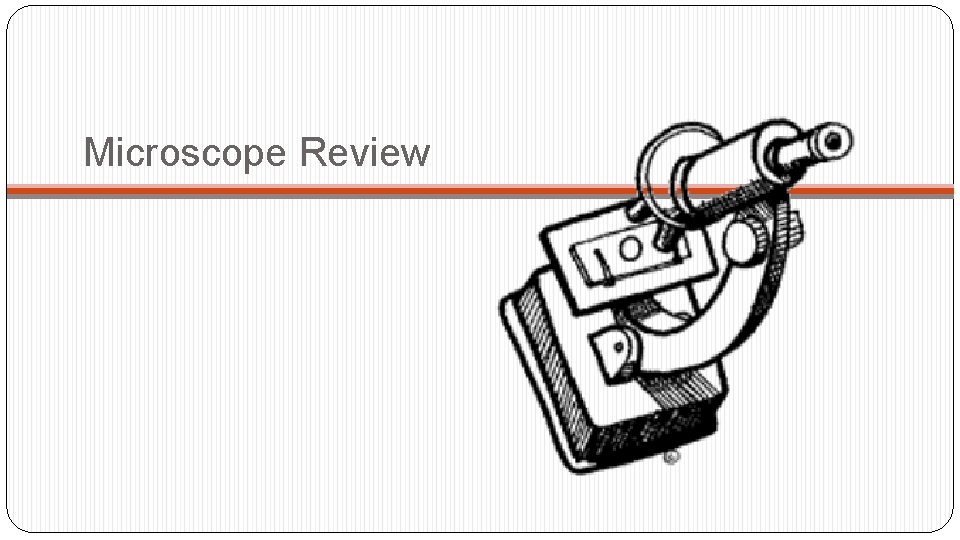 Microscope Review 