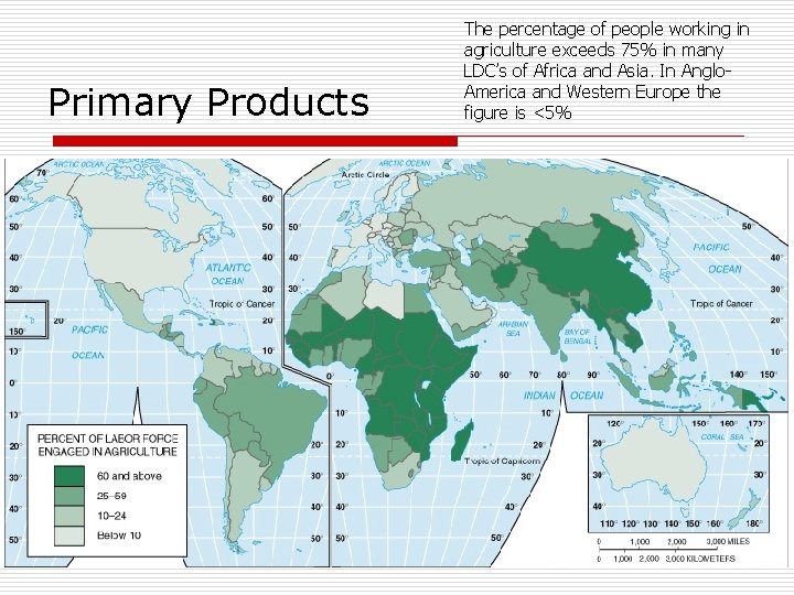 Primary Products The percentage of people working in agriculture exceeds 75% in many LDC’s Primary Products The percentage of people working in agriculture exceeds 75% in many LDC’s