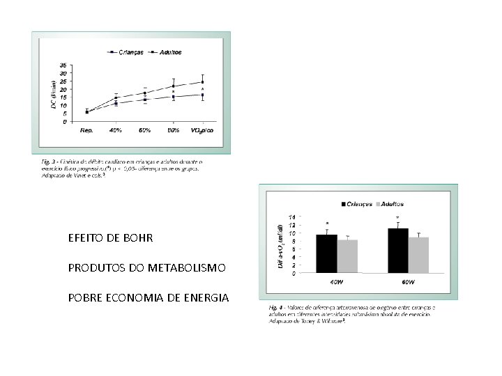 EFEITO DE BOHR PRODUTOS DO METABOLISMO POBRE ECONOMIA DE ENERGIA EFEITO DE BOHR PRODUTOS DO METABOLISMO POBRE ECONOMIA DE ENERGIA