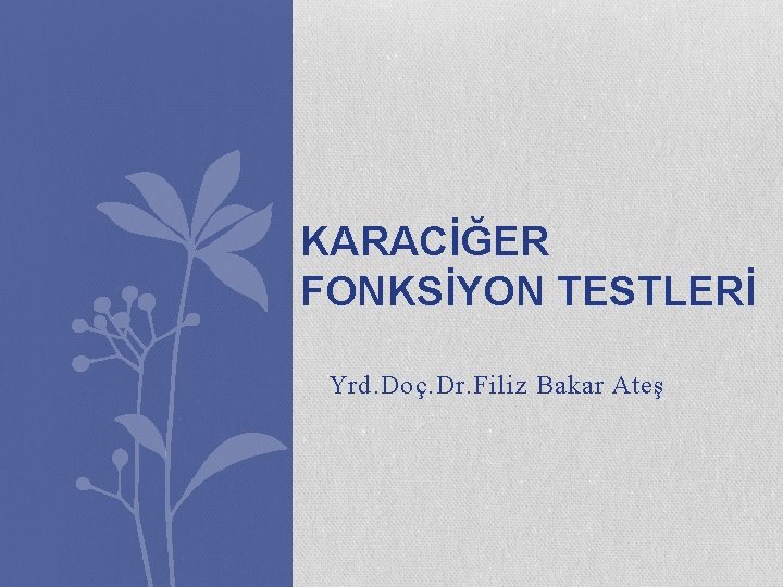 KARACİĞER FONKSİYON TESTLERİ Yrd. Doç. Dr. Filiz Bakar Ateş 