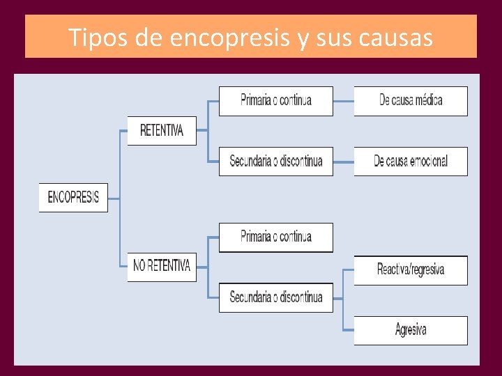 Tipos de encopresis y sus causas 24 Tipos de encopresis y sus causas 24