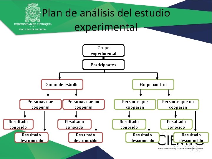 Plan de análisis del estudio experimental Grupo experimental Participantes Grupo de estudio Personas que