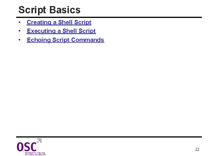 Script Basics • Creating a Shell Script • Executing a Shell Script • Echoing