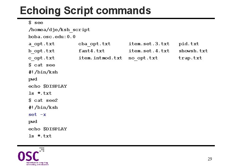 Echoing Script commands $ see /homea/dje/ksh_script boba. osc. edu: 0. 0 a_opt. txt cba_opt.