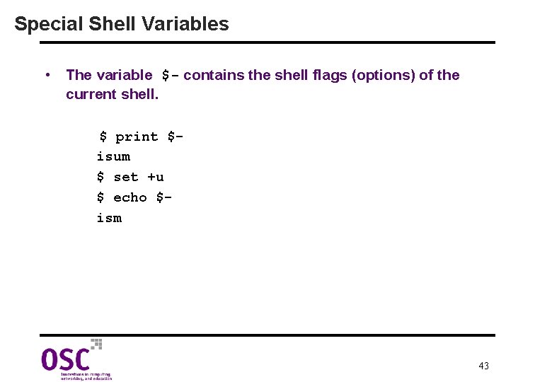 Special Shell Variables • The variable $- contains the shell flags (options) of the