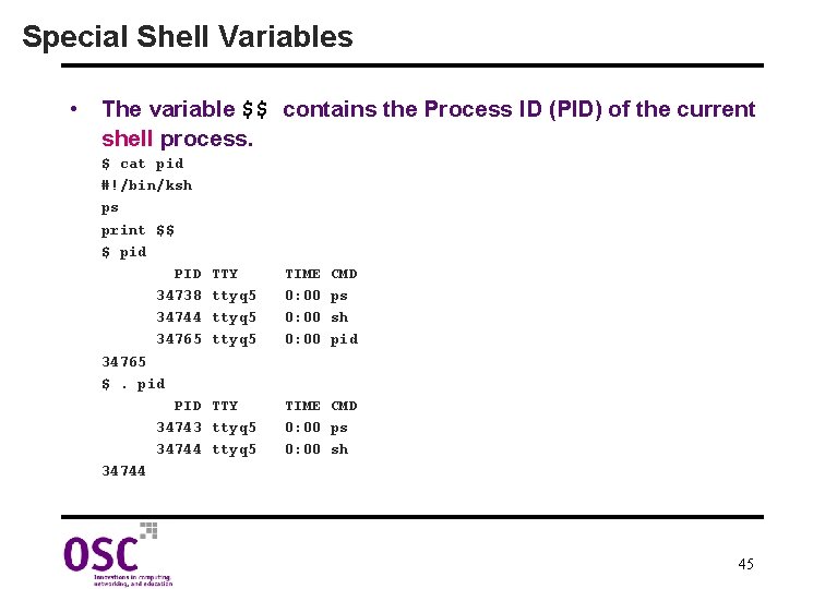 Special Shell Variables • The variable $$ contains the Process ID (PID) of the
