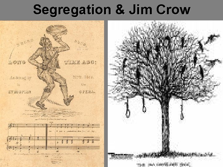 Segregation & Jim Crow 